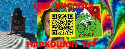 индика Бийск