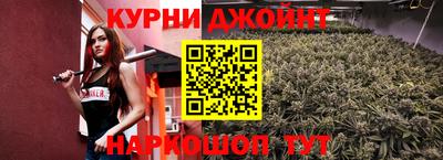 индика Бийск