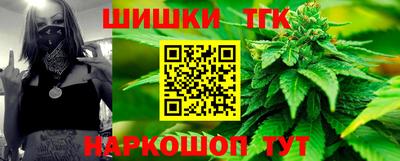 индика Бийск